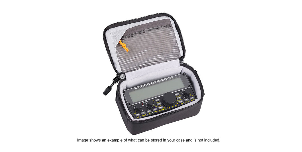 CS40_CS40 Compact Padded Carrying Case